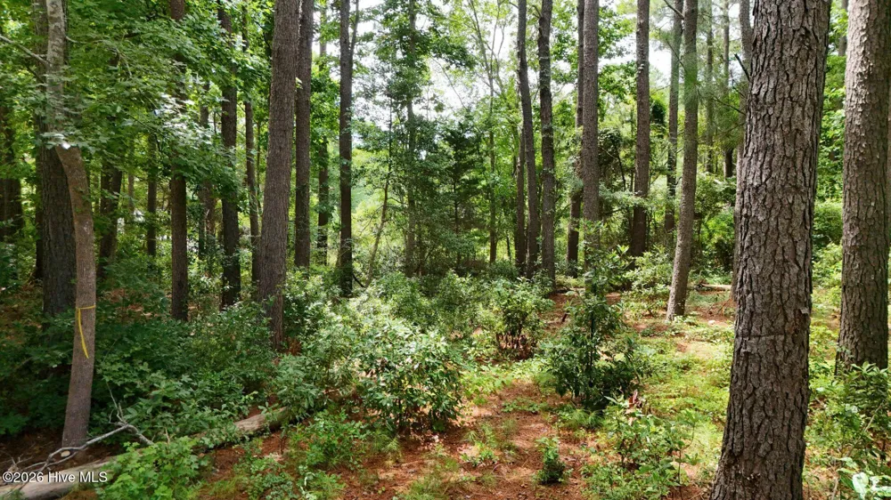 0 Horizon Crest Hampstead, NC 28443