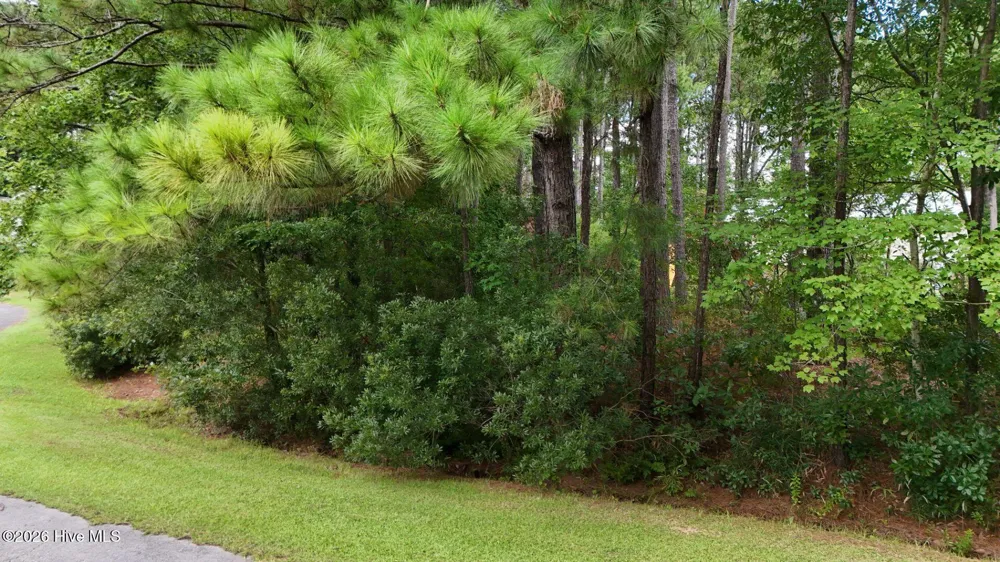 0 Horizon Crest Hampstead, NC 28443