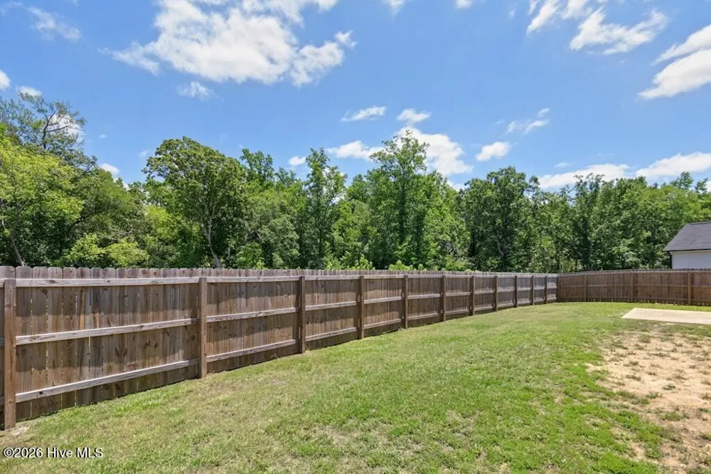 124 Carissa Drive Smithfield, NC 27577
