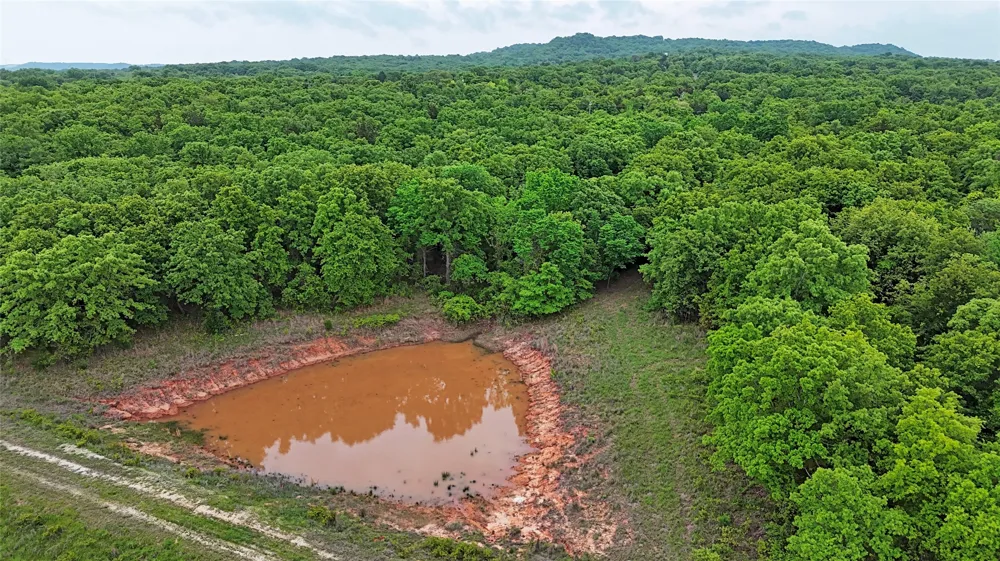 2300 Cobb Hollow Road St Jo, TX 76265