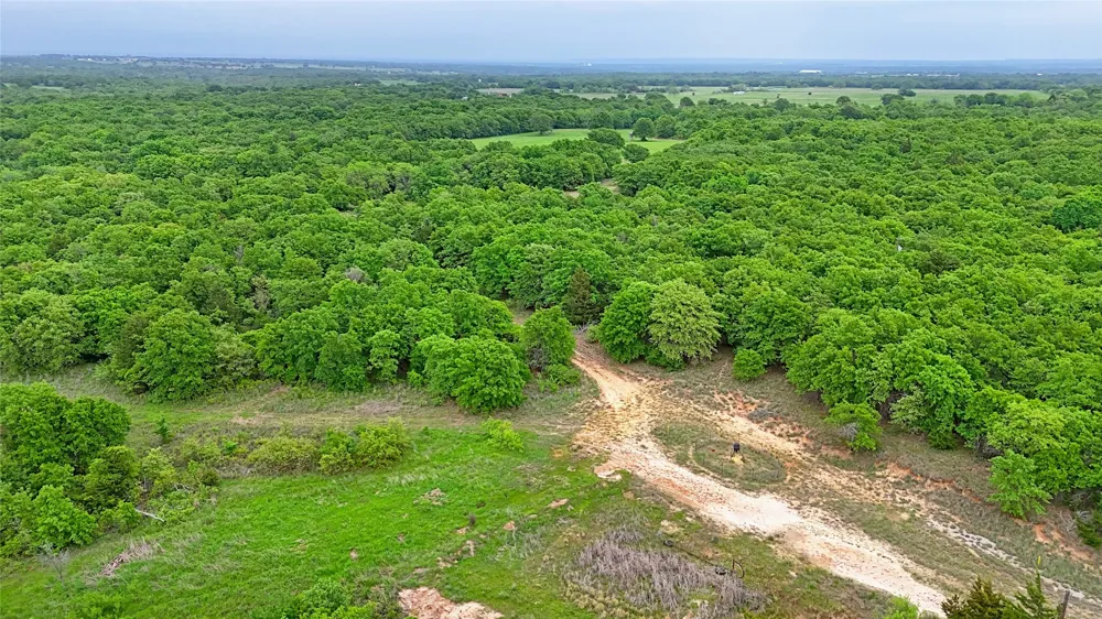 2300 Cobb Hollow Road St Jo, TX 76265