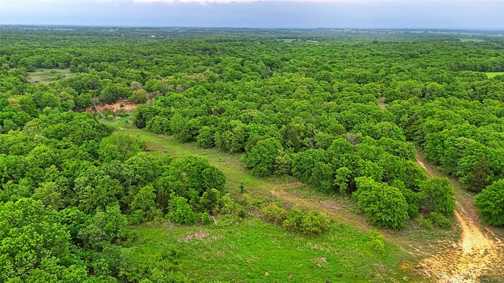 2300 Cobb Hollow Road St Jo, TX 76265