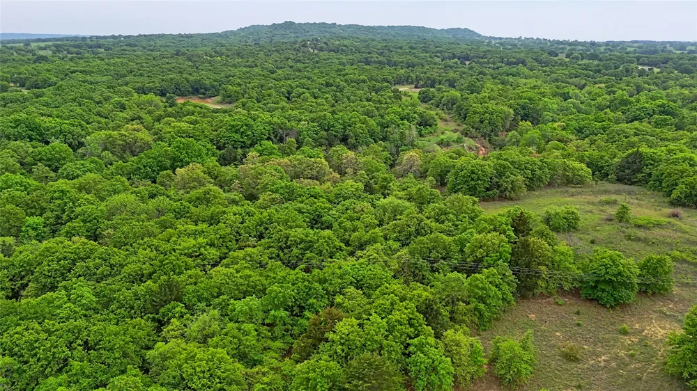 2300 Cobb Hollow Road St Jo, TX 76265
