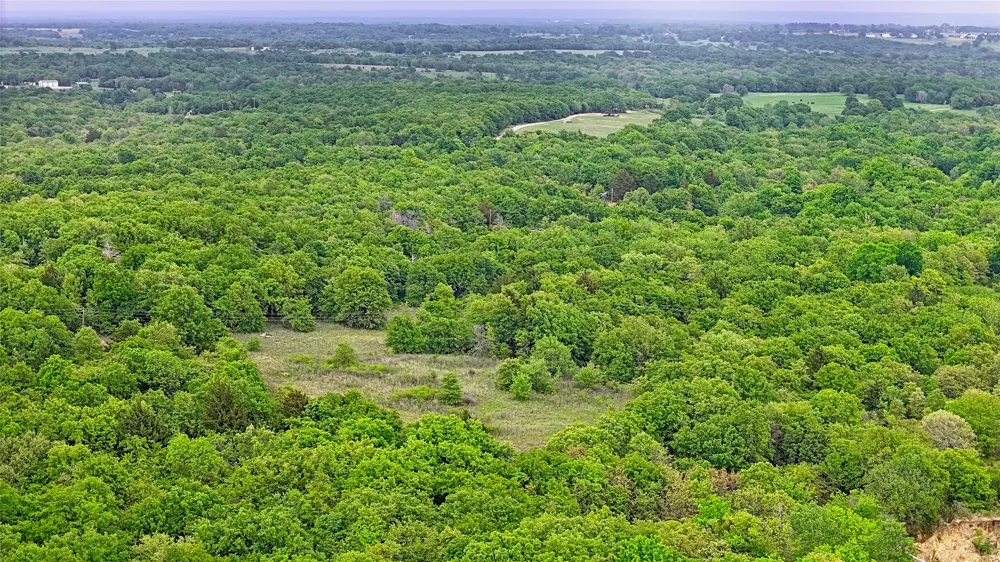 2300 Cobb Hollow Road St Jo, TX 76265