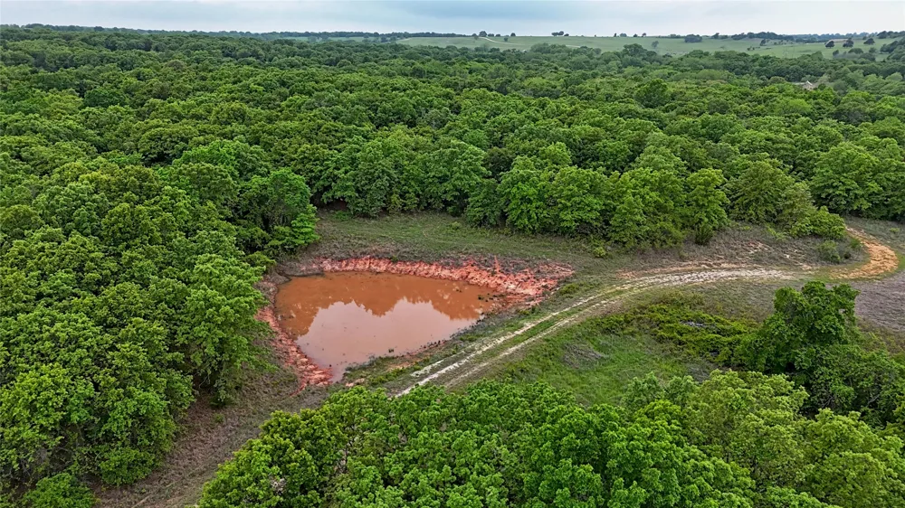 2300 Cobb Hollow Road St Jo, TX 76265