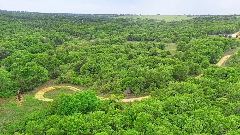 2300 Cobb Hollow Road St Jo, TX 76265