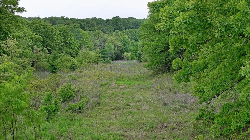 2300 Cobb Hollow Road St Jo, TX 76265
