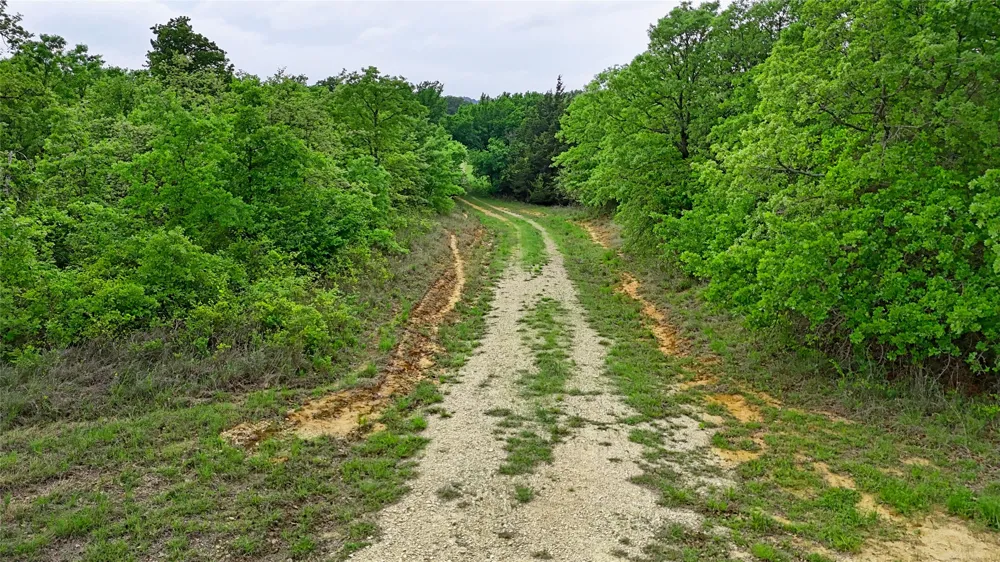 2300 Cobb Hollow Road St Jo, TX 76265