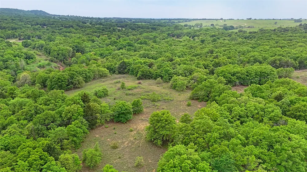 2300 Cobb Hollow Road St Jo, TX 76265