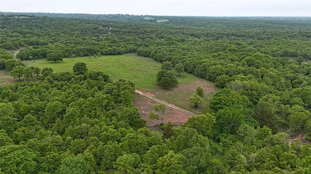 2300 Cobb Hollow Road St Jo, TX 76265