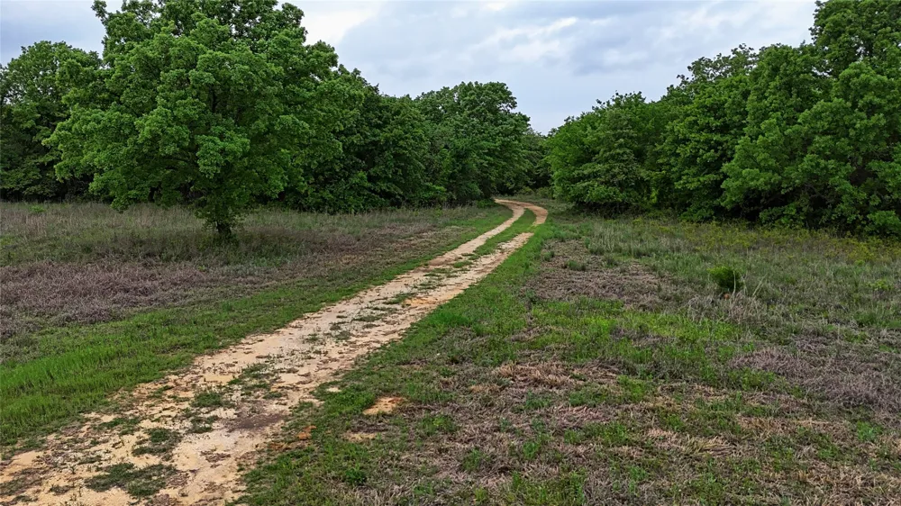 2300 Cobb Hollow Road St Jo, TX 76265