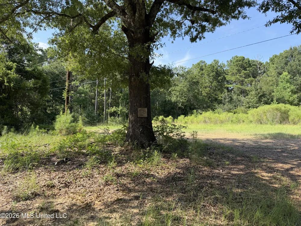 2374 Ms-22 Canton, MS 39046