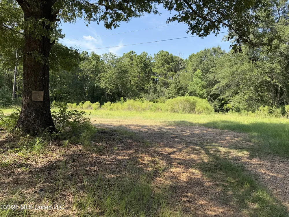2374 Ms-22 Canton, MS 39046