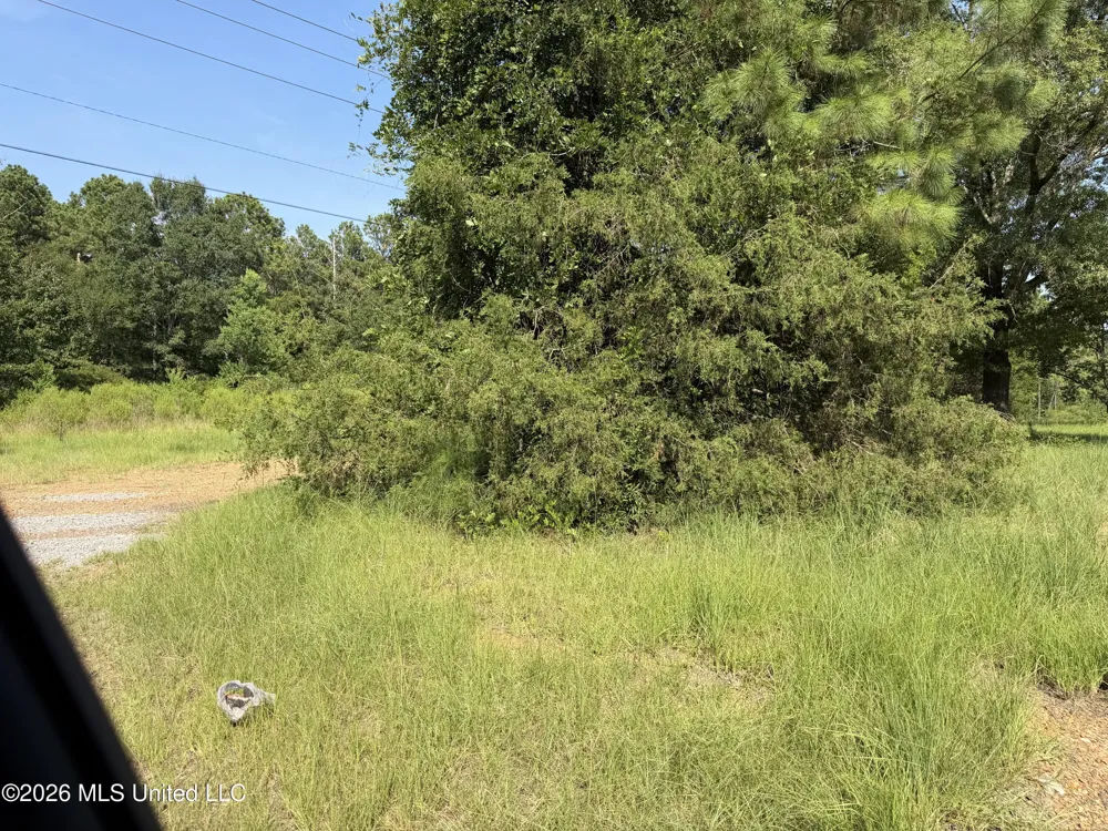 2374 Ms-22 Canton, MS 39046