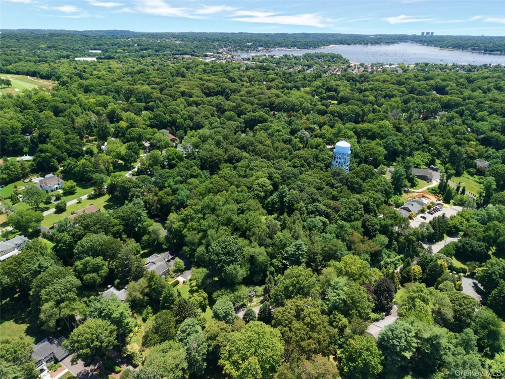 20 Tibbits Lane Sands Point, NY 11050