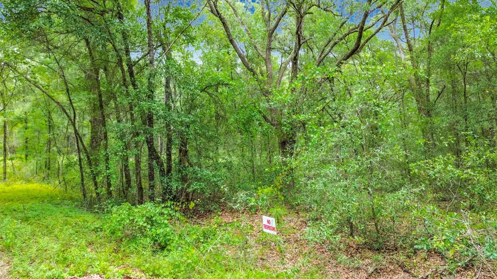 153 SW Rainbow Park Avenue ocala, FL 34481