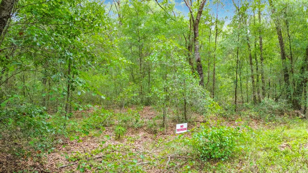 153 SW Rainbow Park Avenue ocala, FL 34481