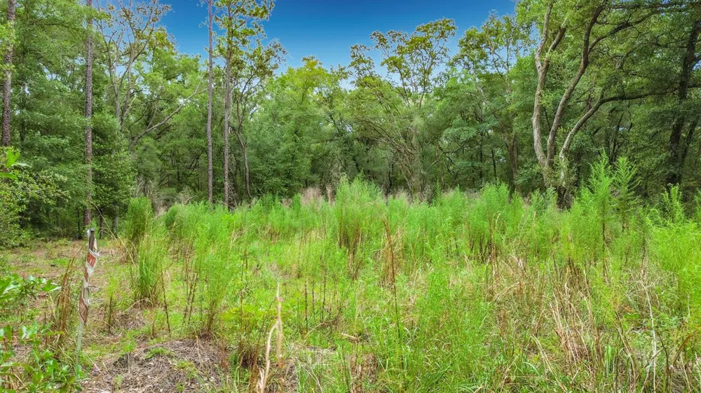 153 SW Rainbow Park Avenue ocala, FL 34481