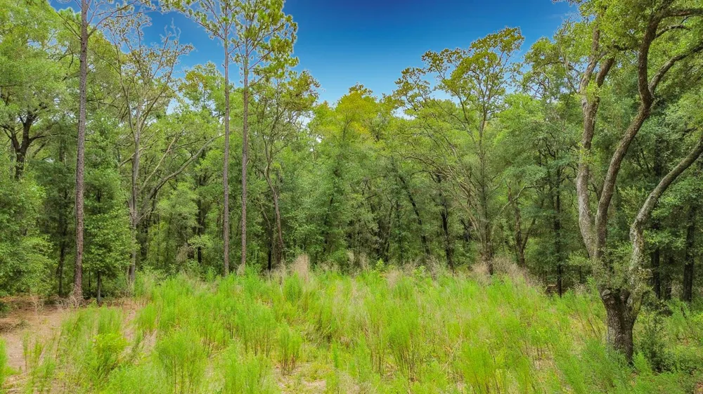 153 SW Rainbow Park Avenue ocala, FL 34481