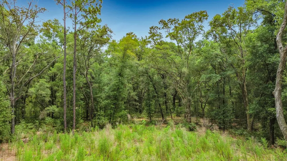 153 SW Rainbow Park Avenue ocala, FL 34481