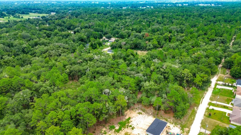 153 SW Rainbow Park Avenue ocala, FL 34481