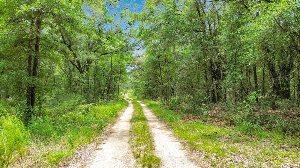 153 SW Rainbow Park Avenue ocala, FL 34481