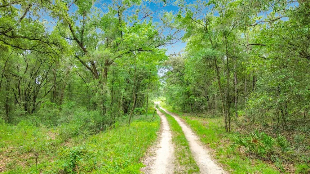 153 SW Rainbow Park Avenue ocala, FL 34481