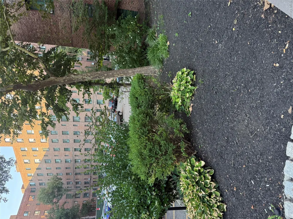 11 metropolitan Oval #7B Bronx, NY 10462