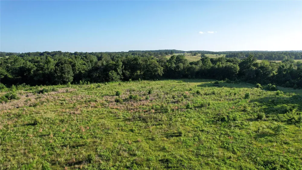 3188 S State Highway 75 Buffalo, TX 75831