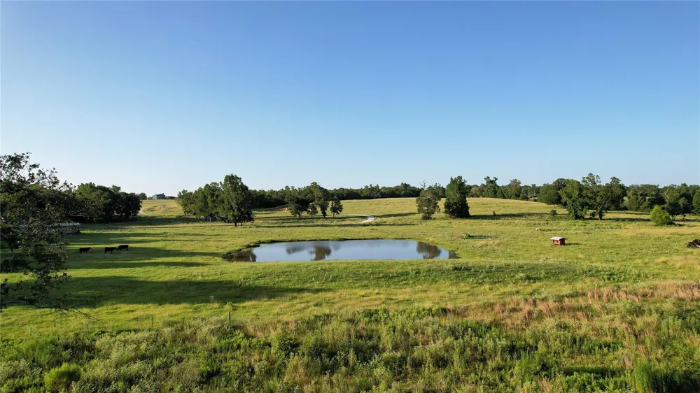 3188 S State Highway 75 Buffalo, TX 75831
