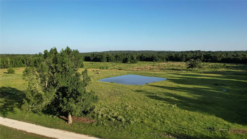 3188 S State Highway 75 Buffalo, TX 75831