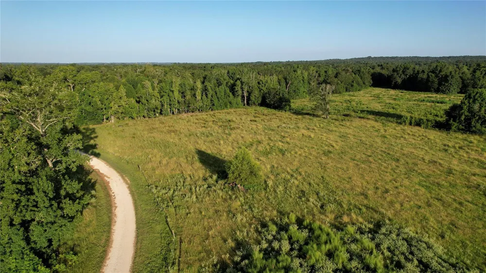 3188 S State Highway 75 Buffalo, TX 75831