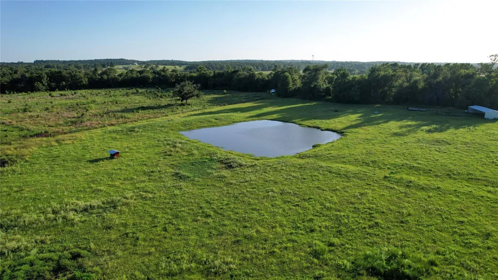 3188 S State Highway 75 Buffalo, TX 75831