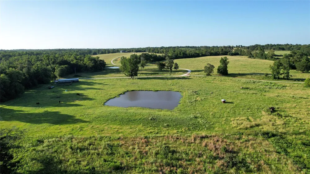 3188 S State Highway 75 Buffalo, TX 75831