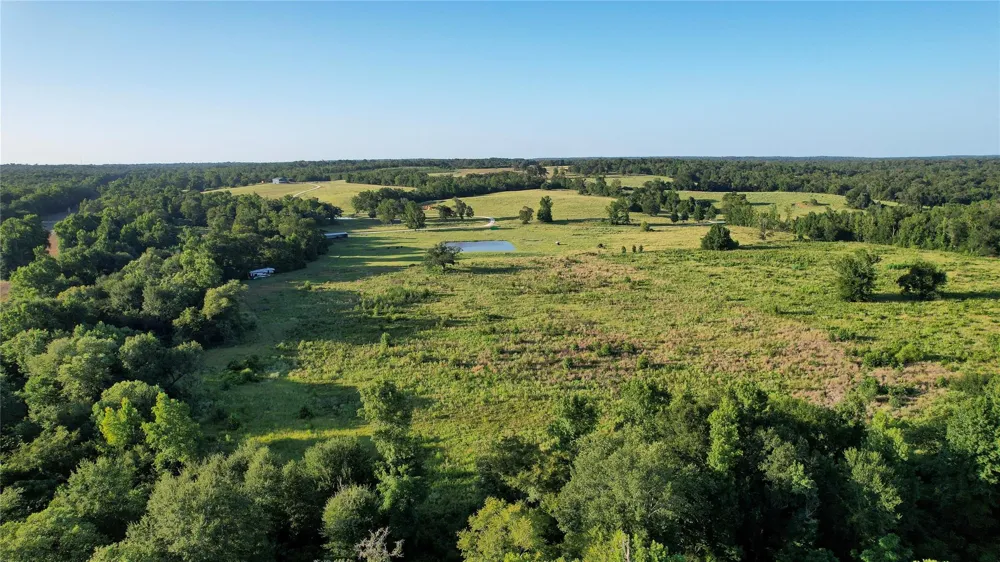 3188 S State Highway 75 Buffalo, TX 75831
