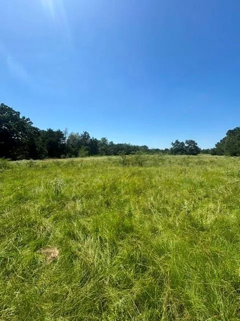 Hwy 14 Thornton, TX 76687