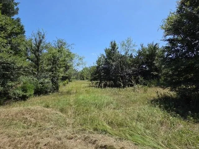 Hwy 14 Thornton, TX 76687