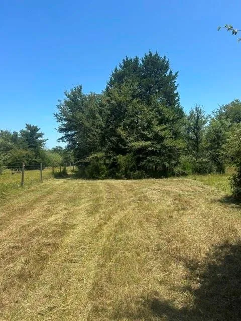Hwy 14 Thornton, TX 76687