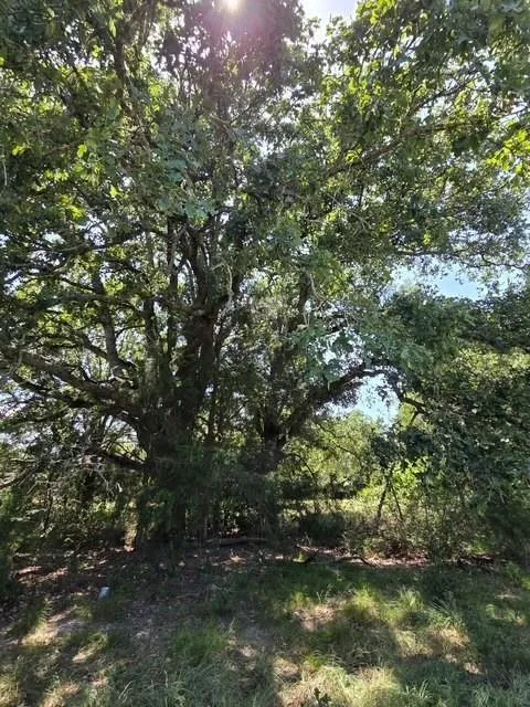 Hwy 14 Thornton, TX 76687