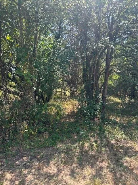 Hwy 14 Thornton, TX 76687