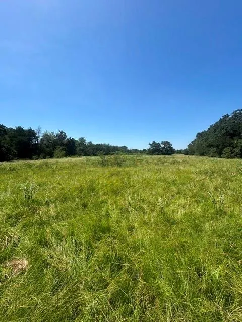 Hwy 14 Thornton, TX 76687