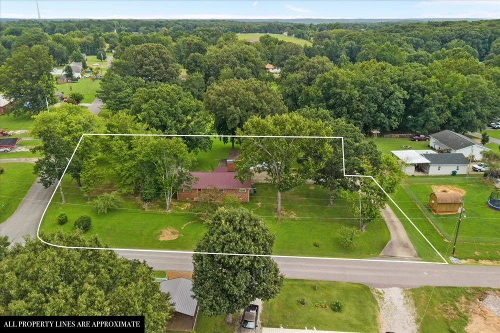 166 Parrish Ln Mc Ewen, TN 37101