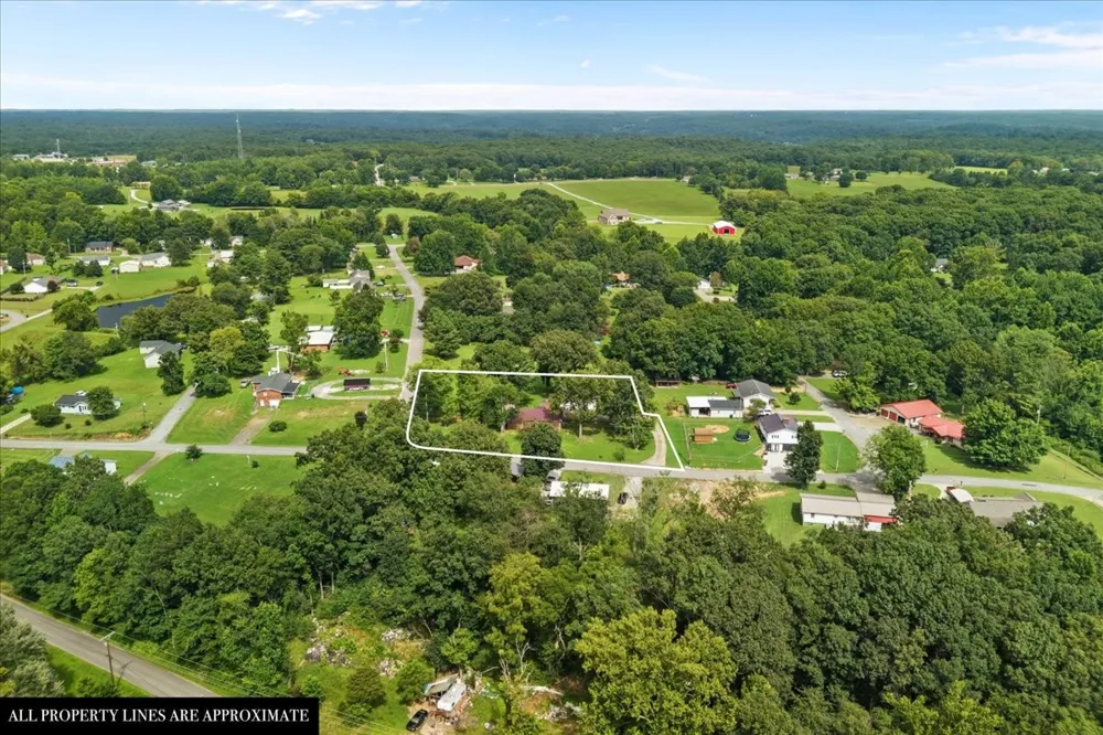 166 Parrish Ln Mc Ewen, TN 37101