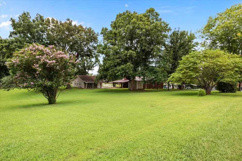 166 Parrish Ln Mc Ewen, TN 37101