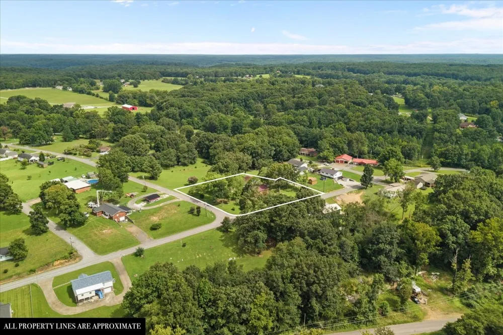 166 Parrish Ln Mc Ewen, TN 37101
