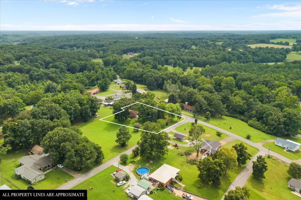 166 Parrish Ln Mc Ewen, TN 37101