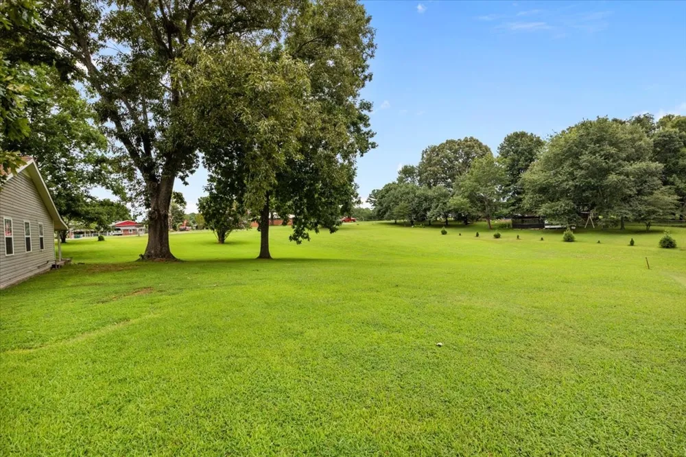 166 Parrish Ln Mc Ewen, TN 37101