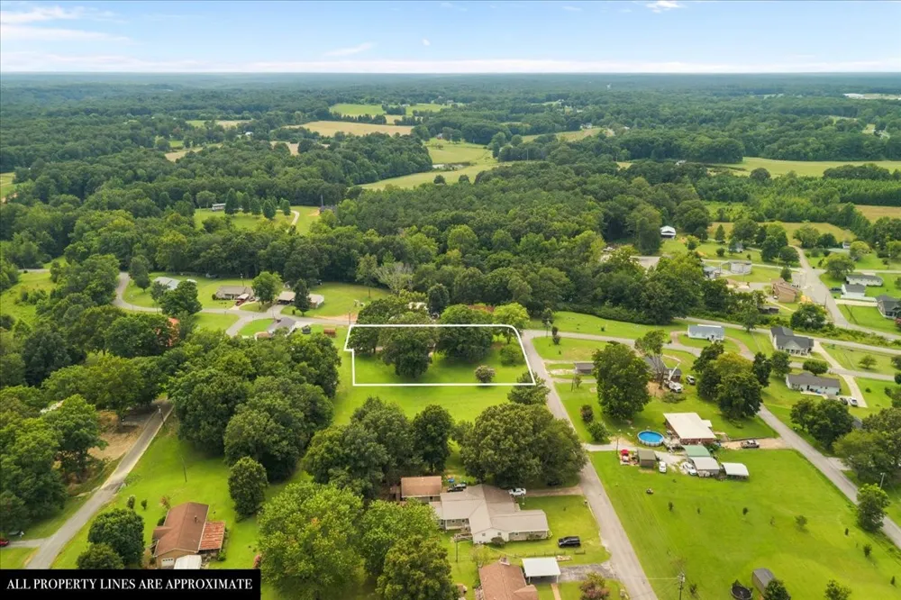 166 Parrish Ln Mc Ewen, TN 37101