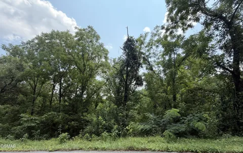 1059 Kellum Creek Road