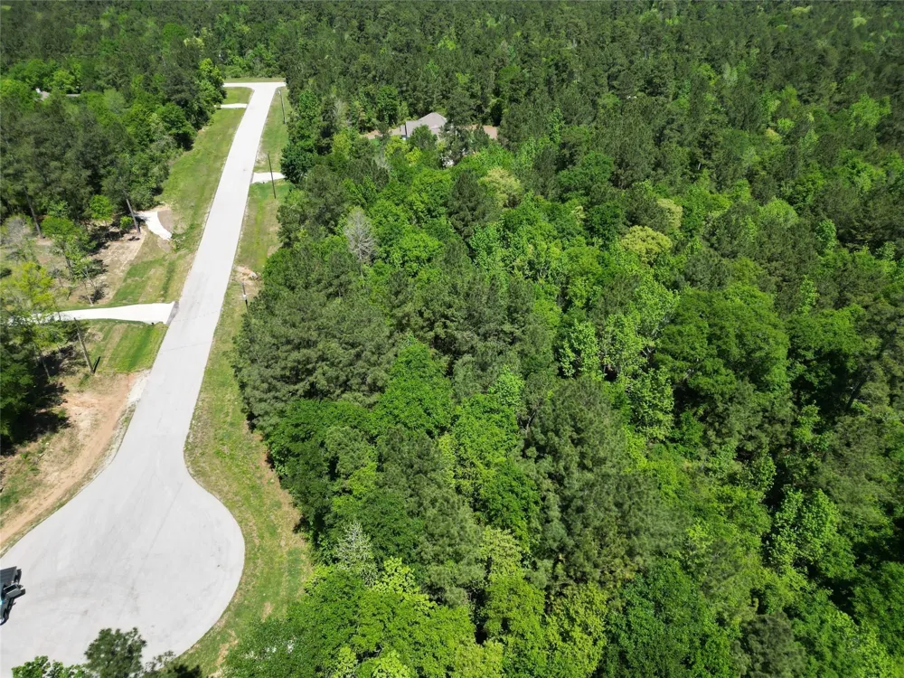 Pyrite Court Huntsville, TX 77340